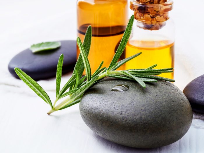 Massage stones, plant, and essential oils in the background
