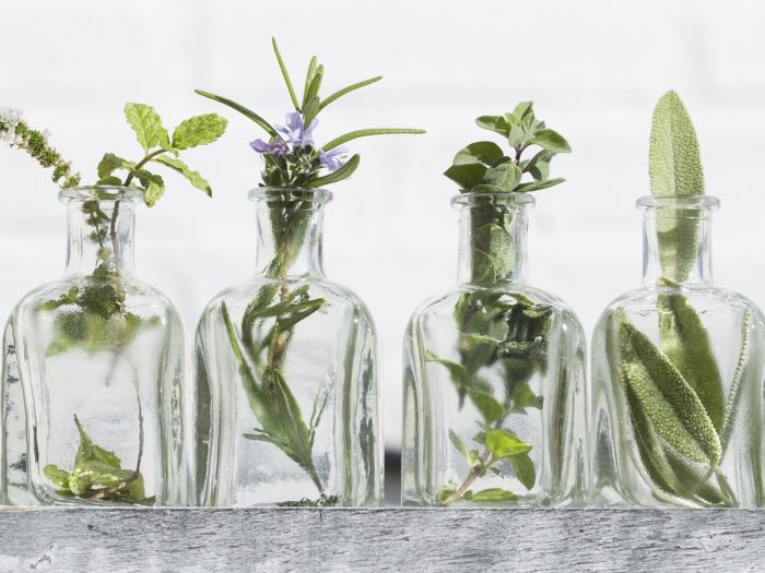 Empty glass essential oil bottles with herbs inserted - lavender flower, basil flower, rosemary, and oregano leaves
