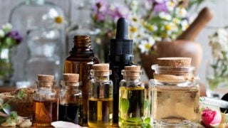 8 Essential Oils for Flea Bites on Dogs & Cats