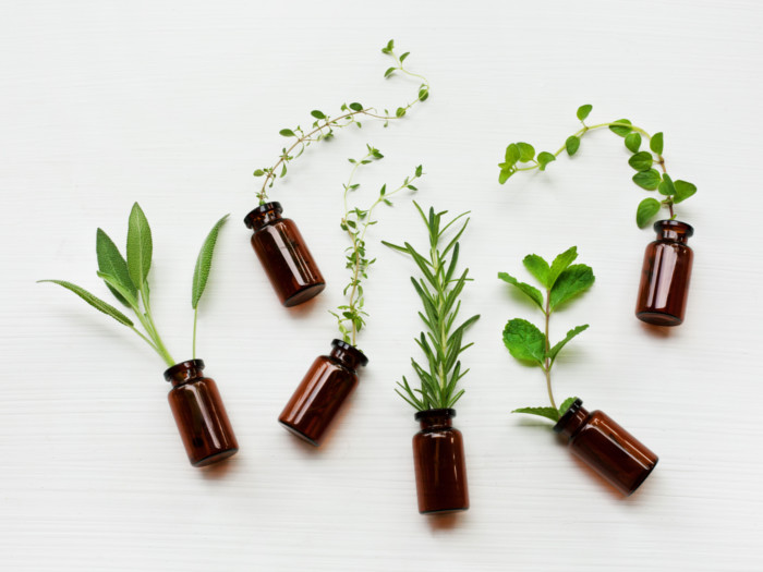 Six bottles with herbs on a white surface