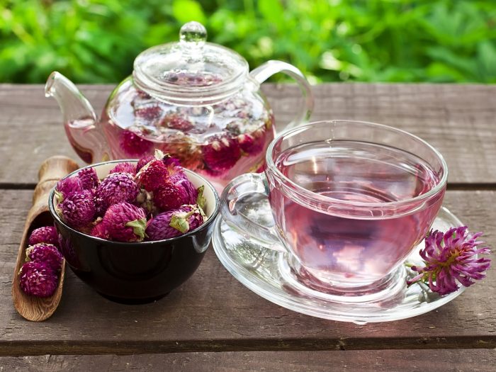Red clover tea in a glass teapot, red clovers in a bowl and rustic spoon, and a teacup with the tea