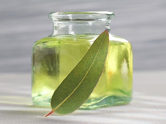 eucalyptus oil