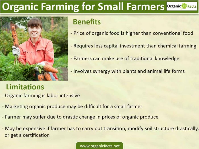 An infographic on the benefits and importance of organic farming