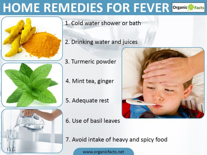 8 Surprising Home Remedies For Fever Organic Facts