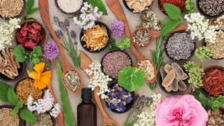 Fresh and dried flowers, herbs, and fruits in bowls and spoons