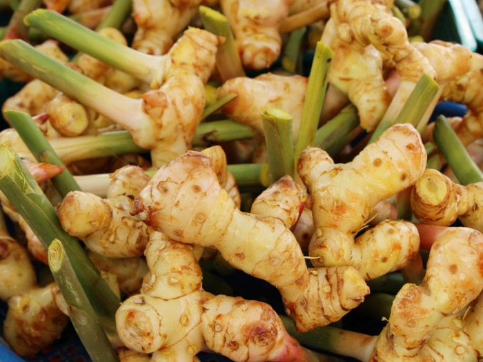 Close up of fresh galangal