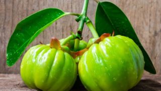Close-up of fresh and green garcinia cambogia on a wooden table