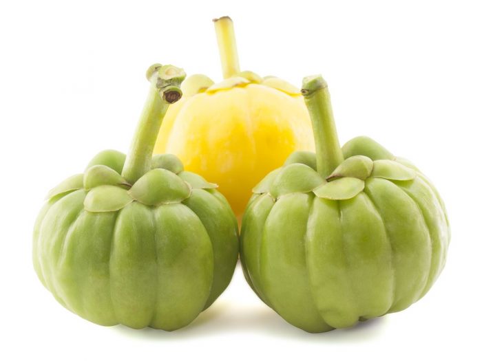 garcinia cambogia fruit fruit arrangements garcinia cambogia fruit fruit arrangements