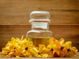 thumbnail image 2 of GARDENIA Organic Essential Oil – Floral Scent – Seven Souls Group – USA Made 2 of 3