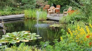 View of a garden with a pond