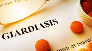 A page with title giardiasis and pills