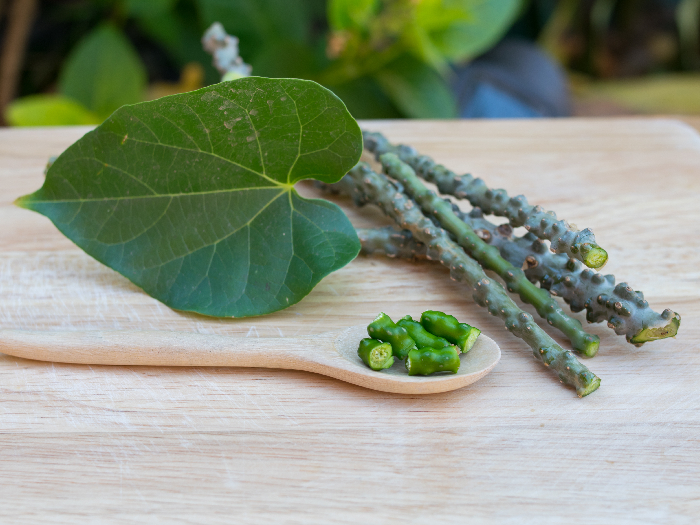Giloy or Guduchi (Tinospora cordifolia) leaf and stem on a wooden board