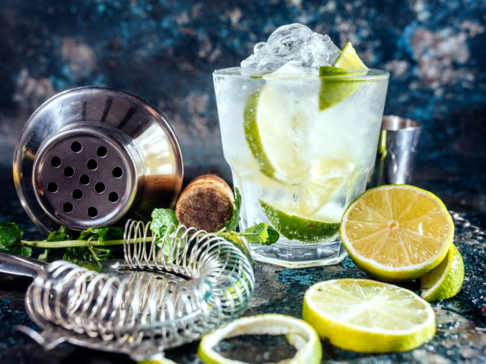 A highball with a classic gin cocktail made with gin, lime, and sugar