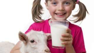 A young girl smiling while holding a glass of goat milk, with her arm around a goat