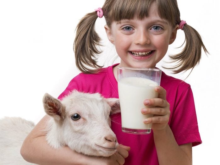 goatmilk