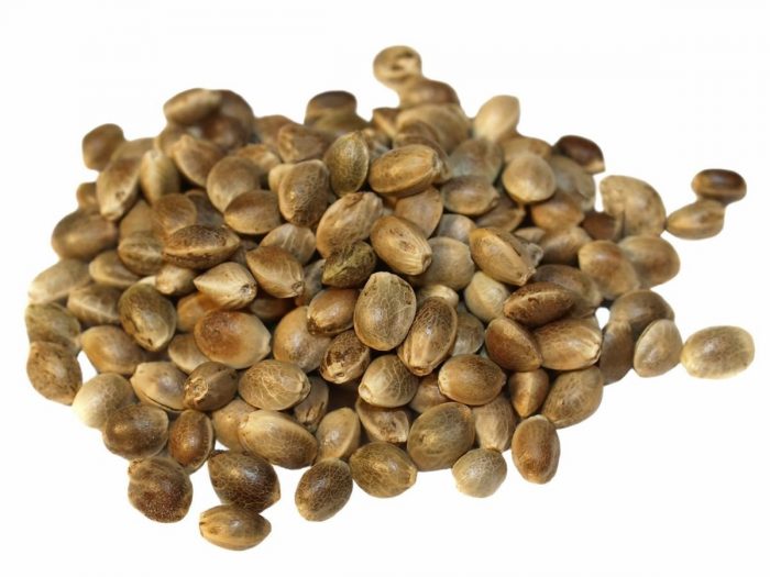 Grape Seed Extract Benefits, Uses & Side Effects Organic Facts