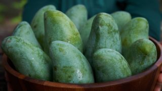Woman holding a bowl of raw mangoes