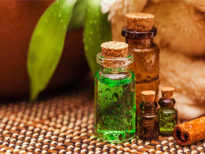 A close-up shot of four bottles containing green tea extract