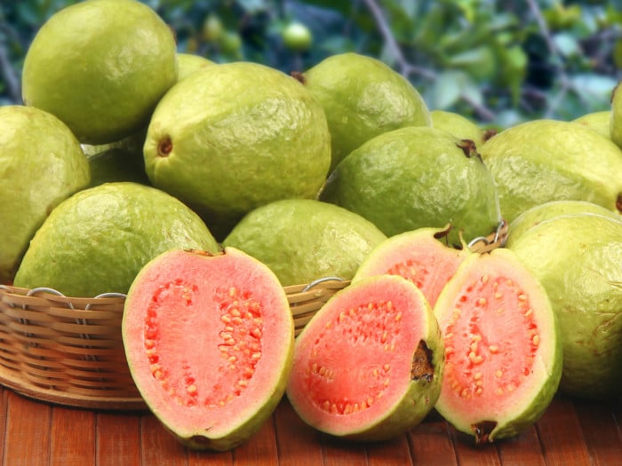 Guava Fruit Helps Indigestion And Constipation-Telugu Food And Diet News