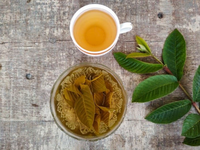 A cup of guava tea, a bowl of containing guava leaves and water, and fresh guava leaves on a wooden table