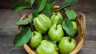 A basket of fresh, green guavas with leaves on a wooden table