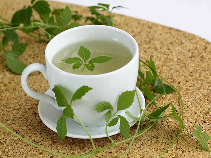 A cup of gynostemma tea surrounded by fresh gynostemma leaves against a brown background