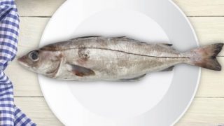 A haddock fish on a plate