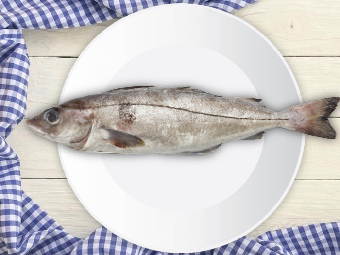 A haddock fish on a plate