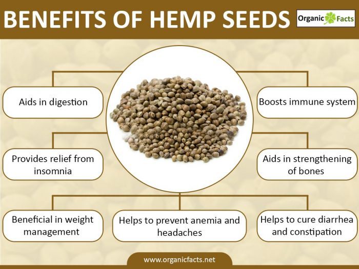 hempseedinfo-700x525.jpg