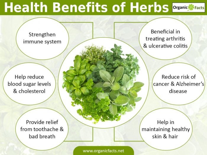 Health benefits of black jack herb extract