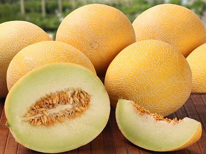 Honeydew Melon: Nutrition, Health Benefits, & Precautions