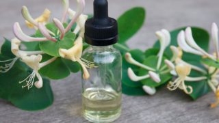 Honeysuckle essential oil in a dropper bottle