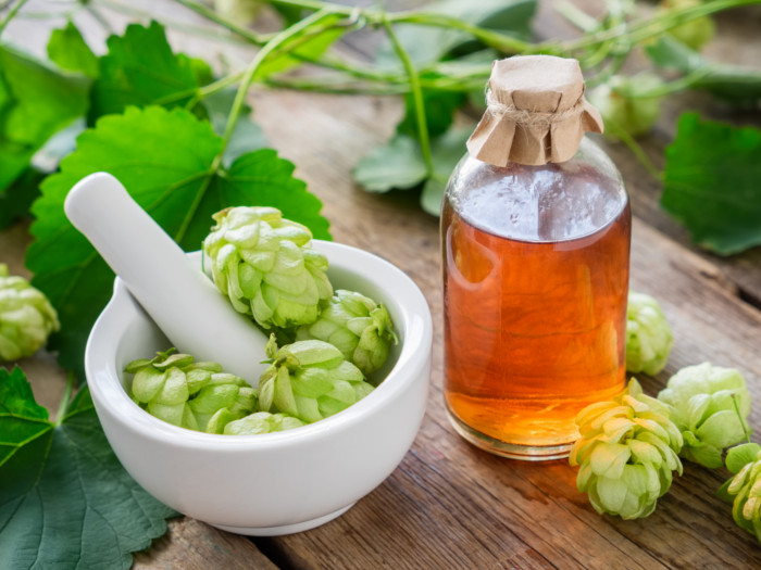 Hops essential oil in a bottle along with hops pods in a mortar