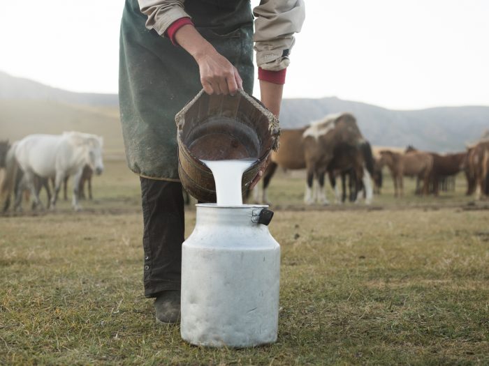 5 Surprising Benefits of Horse Milk (Mare Milk) | Organic Facts