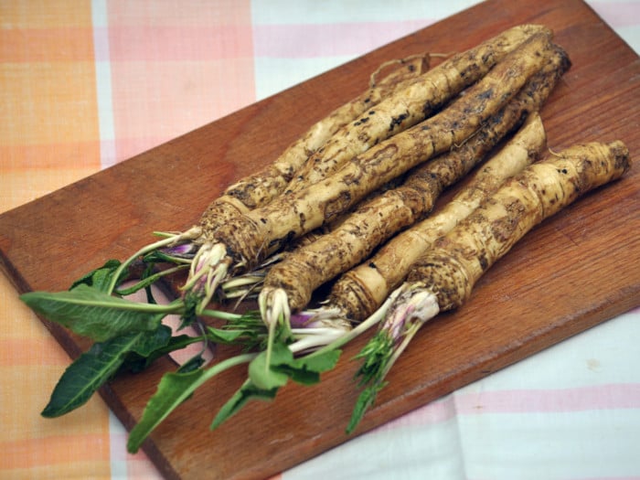 Fresh horseradish with leaves on a wooden chopper board