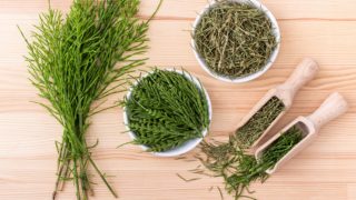 2 bowls and 2 wooden food scoops of dried and fresh horsetail on a wooden table
