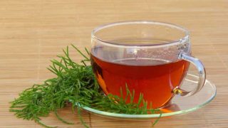Closeup of a cup of tea with a horsetail twig on the saucer.