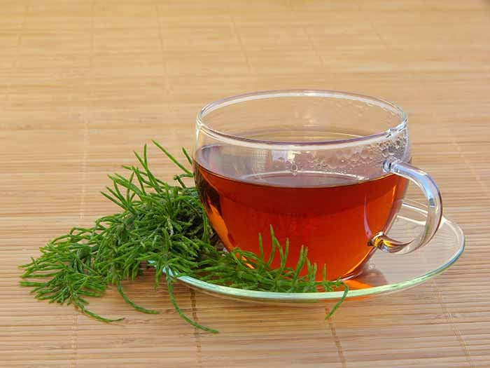 Closeup of a cup of tea with a horsetail twig on the saucer.