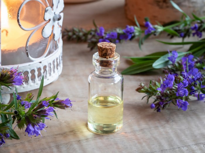 Una botella de aceite esencial de hisopo con flores de hisopo frescas sobre una mesa de madera