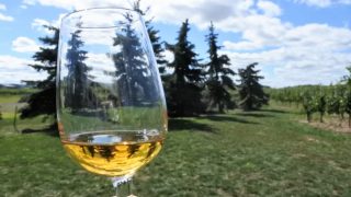 Close up of ice wine in a wine glass held outdoors