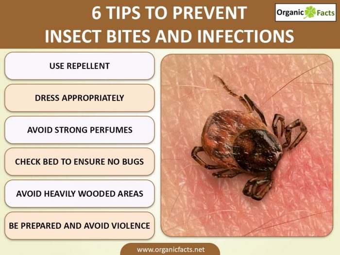 10 Effective Ways to Prevent Insect Bites & Infections | Organic Facts