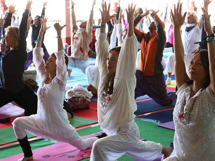 A group of people doing yoga