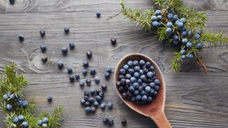 A couple of juniper berries spread on a table