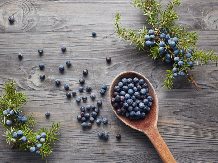 5 Amazing Juniper Berry Substitutes Organic Facts