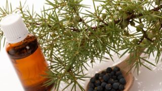 A bottle of juniper oil with juniper branch and berries on a white background