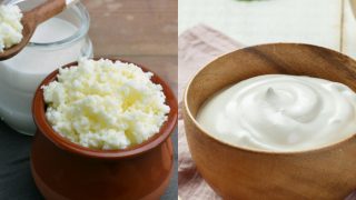 An image collage with kefir on the left and yogurt on the right