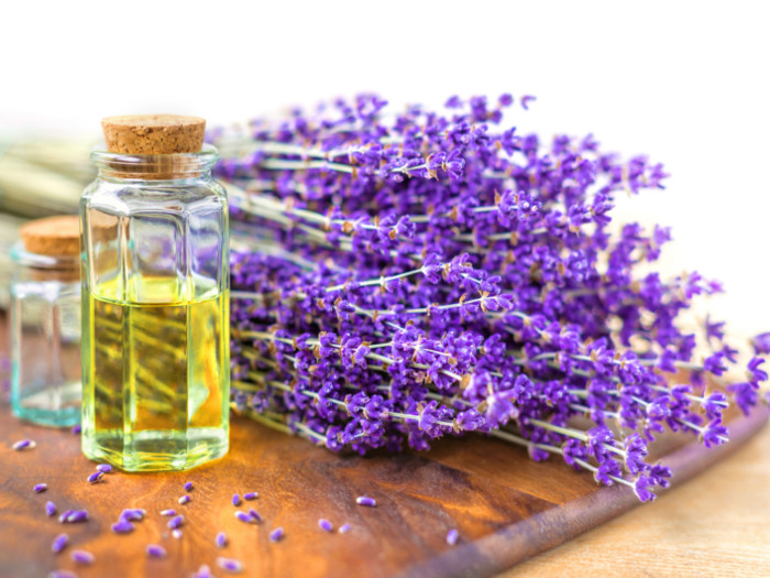 How To Make Lavender Oil Organic Facts