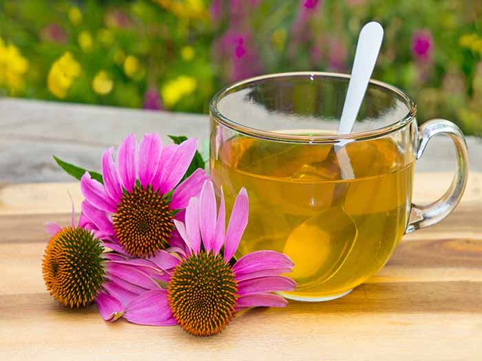 Purple calendula flowers lying next to a cup of tea on a wooden surface