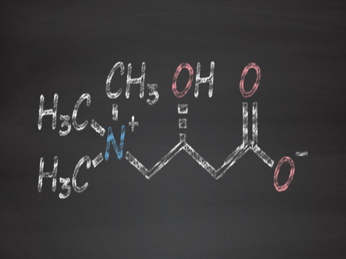 Chemical formula of l-carnitine