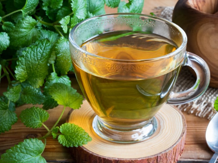 A cup of lemon balm tea with fresh lemon balm leaves in the background